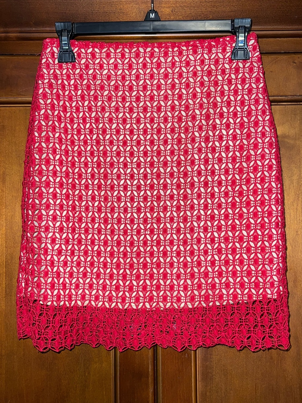 NWT francesca’s skirt